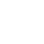 Incident Icon