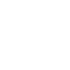 Audit Icon