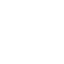 Risk Icon