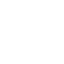 WP Icon